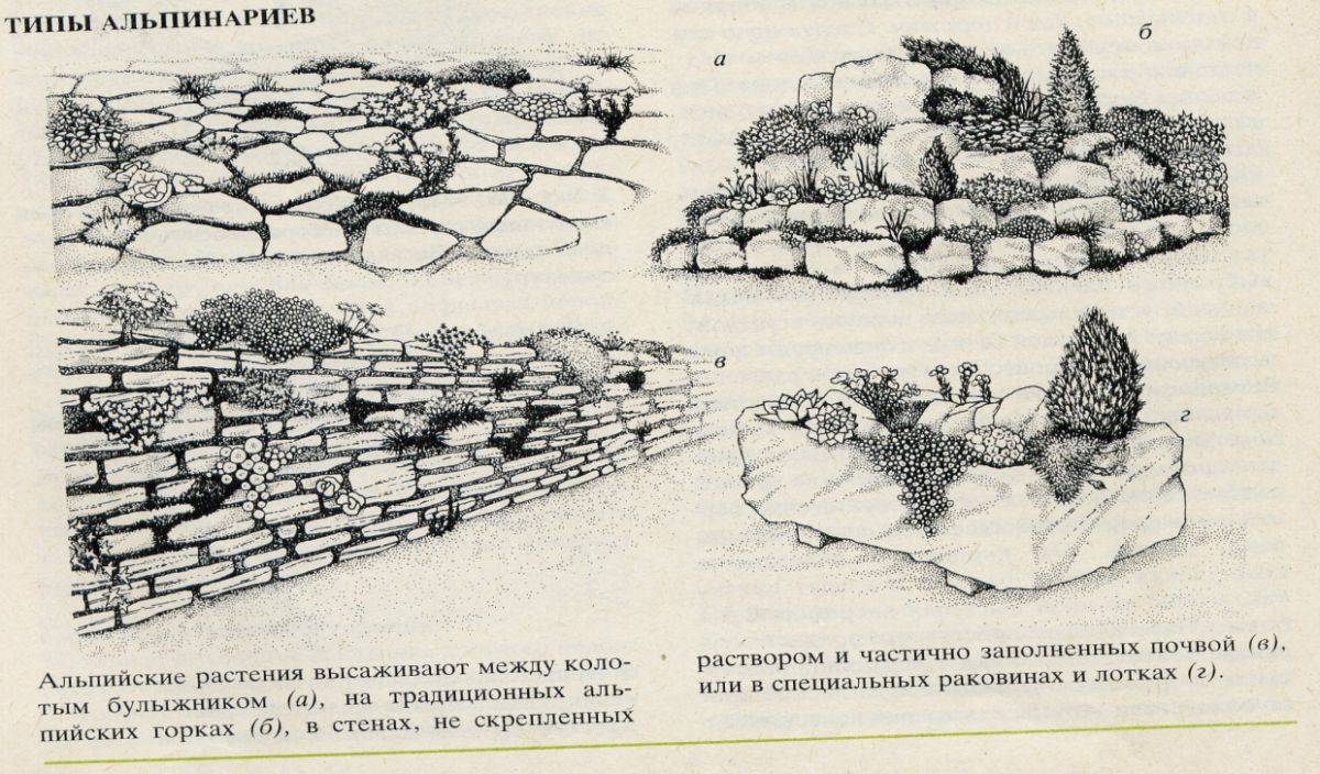 Как сделать альпийскую горку своими руками