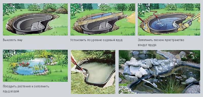Устройство мини-водоемов на дачном участке