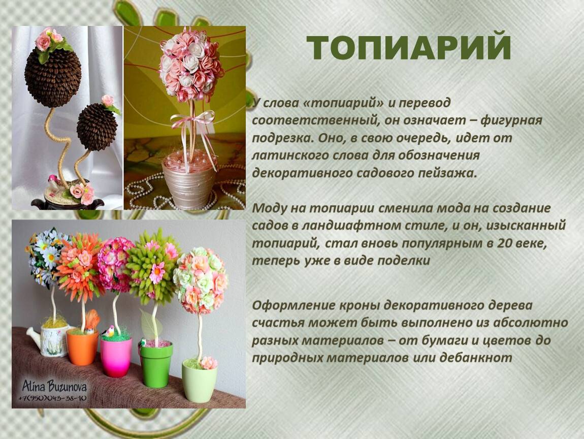 Топиарные сады: удивительные скульптуры из живых кустарников и растений (45 фото)