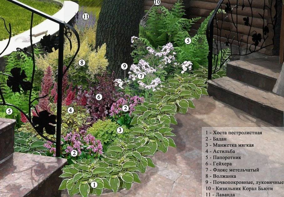 Клумба вдоль забора своими руками из многолетников: красивые фото и схемы