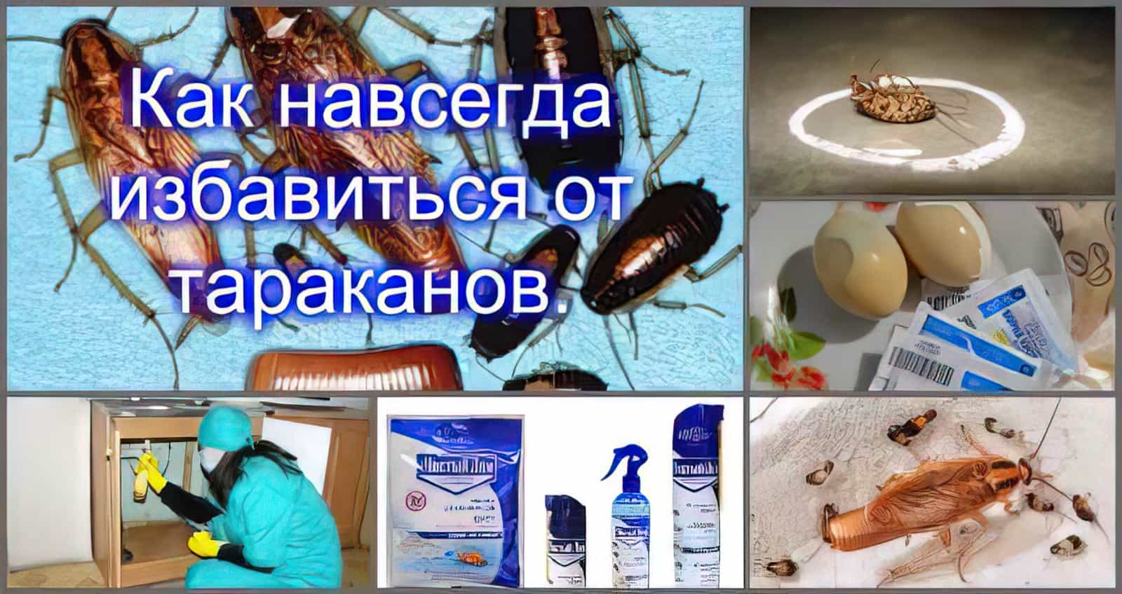 ???? в квартире появились тараканы что делать? [9 способов] 2024 ????