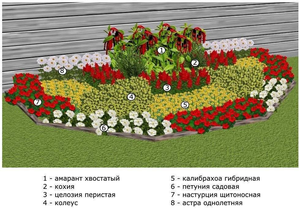Как оформить розарий на даче (схемы посадки, уход)