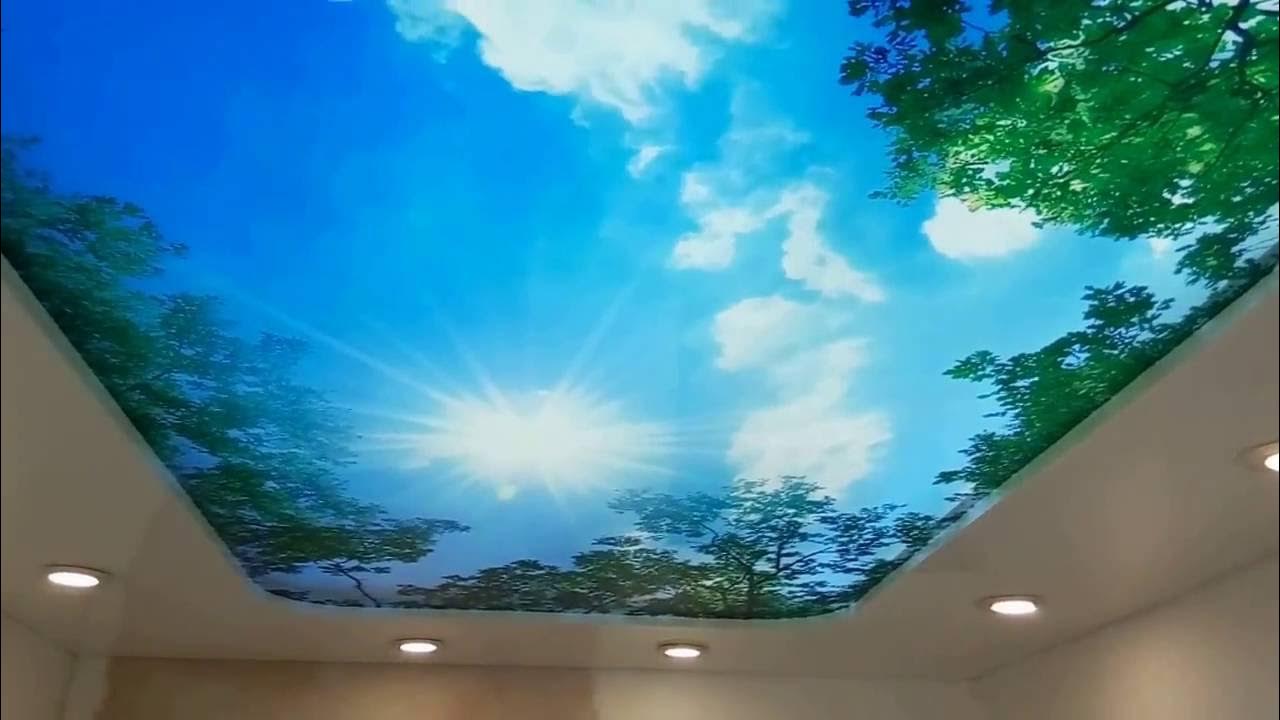 Разновидности объемных натяжных потолков с 3d-эффектом