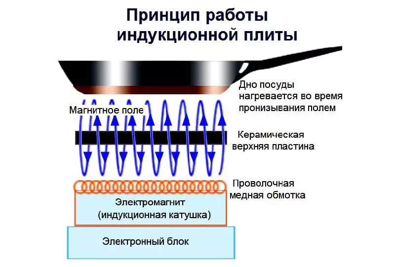 Газовая, электрическая или индукционная плита: какую купить?