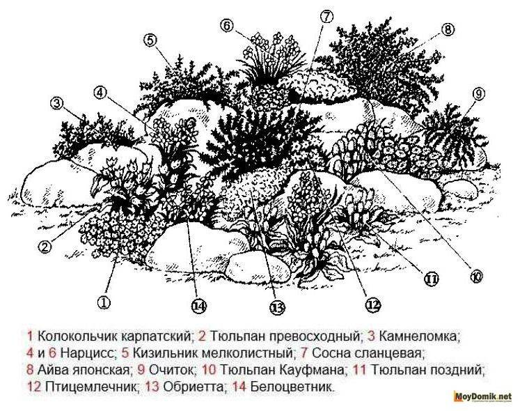 Альпийская горка своими руками: как сделать альпийскую горку пошагово