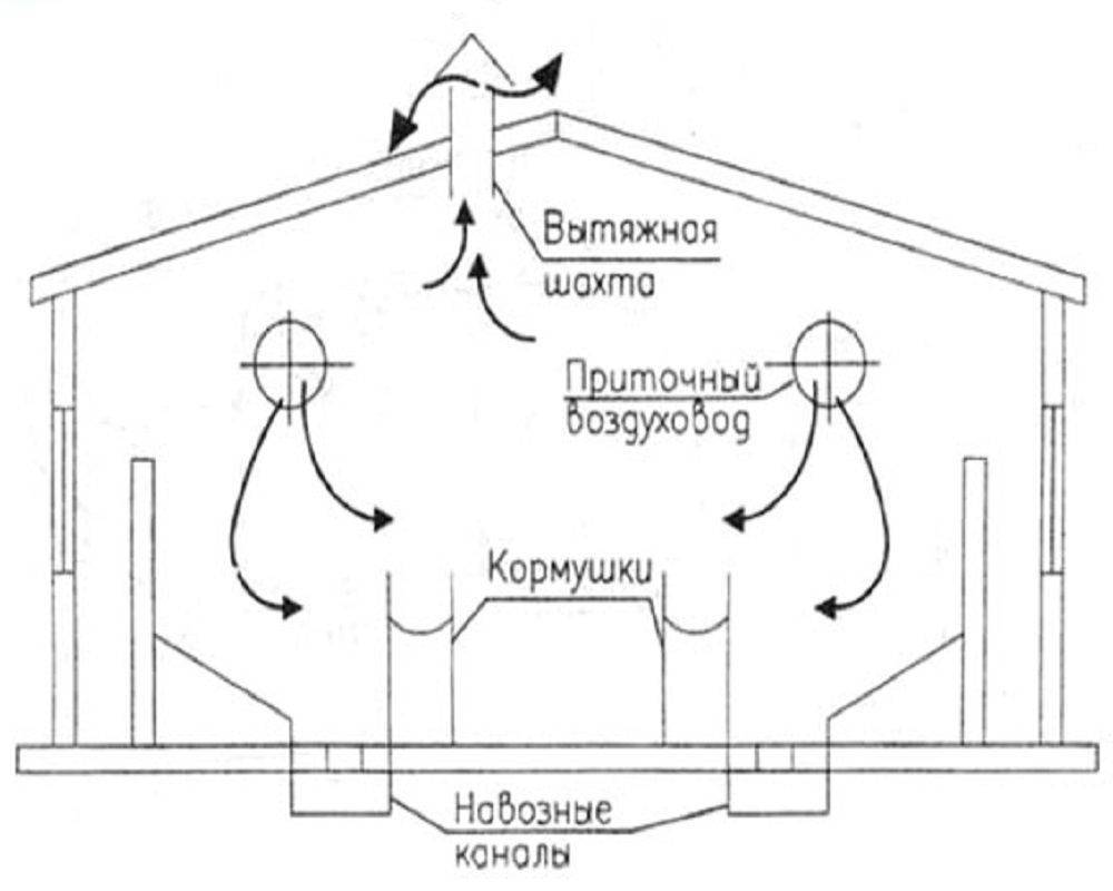 Вентиляция в курятнике своими руками: чертежи и советы
