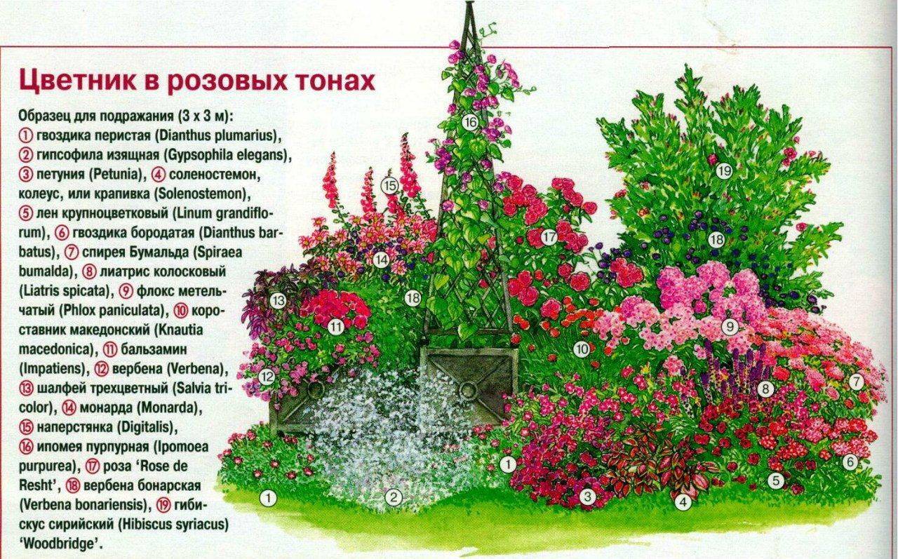 Розарий на даче: пошаговая инструкция по разбивке и оформлению для начинающих