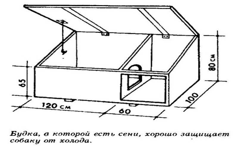 Будка для собаки своими руками: чертежи и схемы, домашняя и уличная, утепление