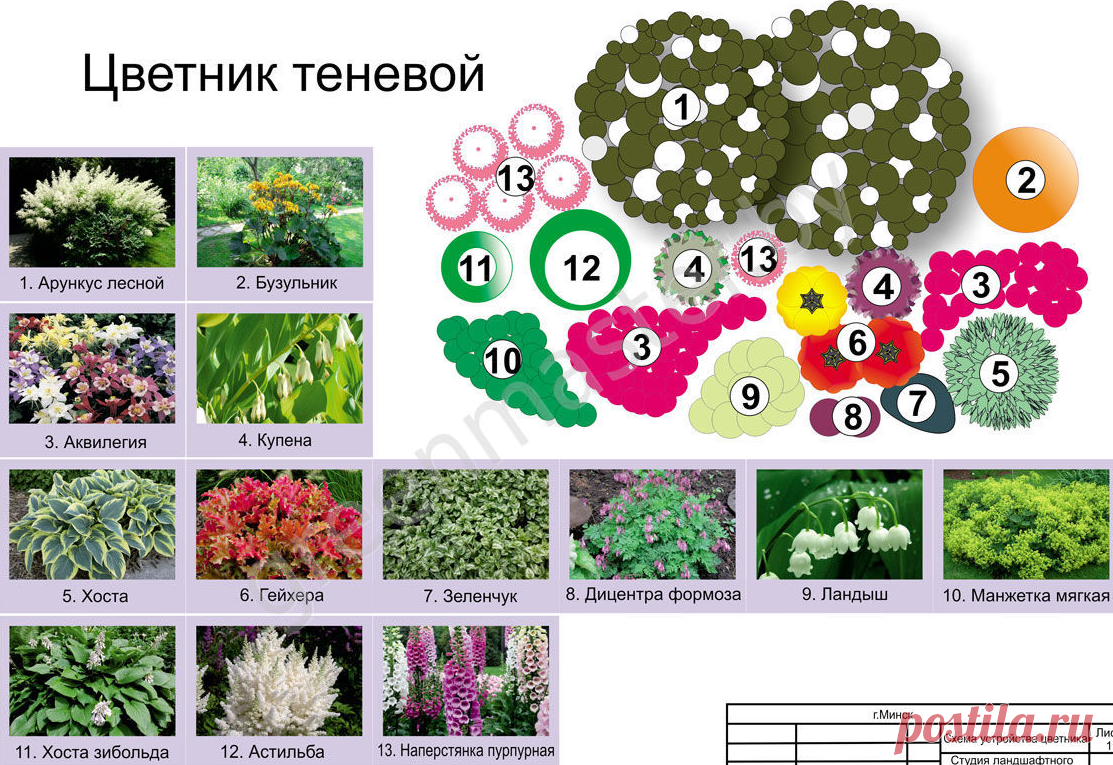 Миксбордеры из многолетников - 120 фото и видео основных схем размещения и обзор лучших сочетаний