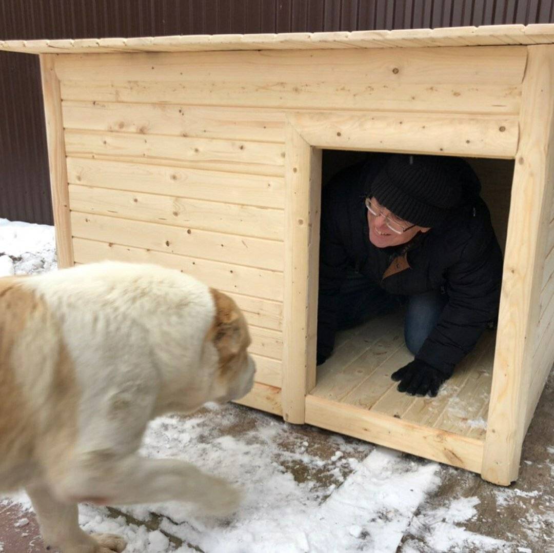 Вольер и будка для алабая
