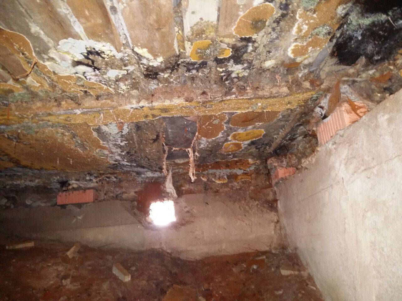 Чем обработать грибок под полом и в подполье деревянного дома