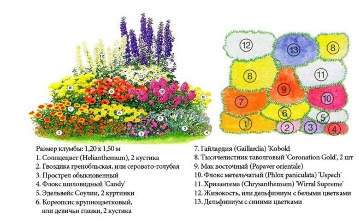 Как самостоятельно разбить красивый цветник во дворе, рядом с домом