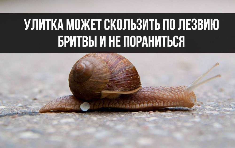 7 интересных и малоизвестных факта об обычной фанере