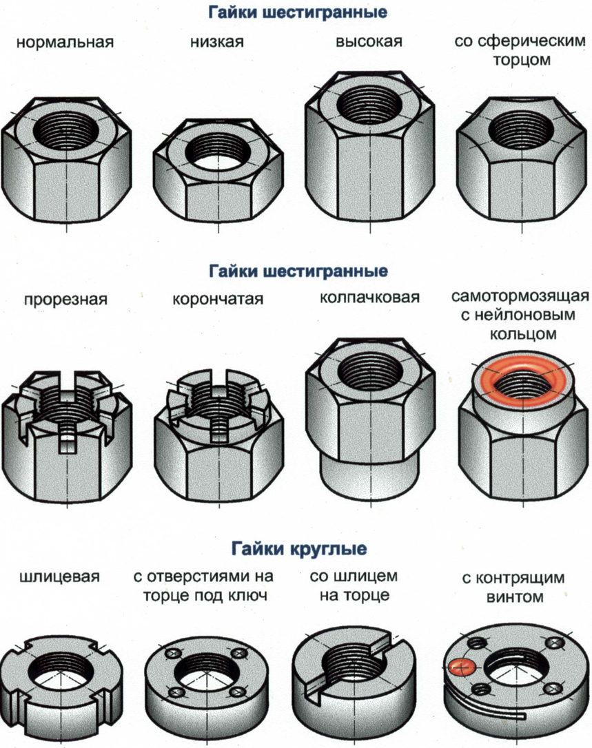 Виды гаек
