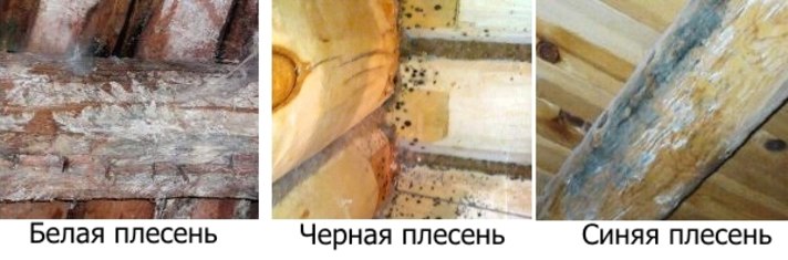 Как бороться с плесенью на стенах? – 13 рабочих способов