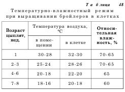 Курятник на 5 кур: подробные чертежи + фото наиболее удачных вариантов