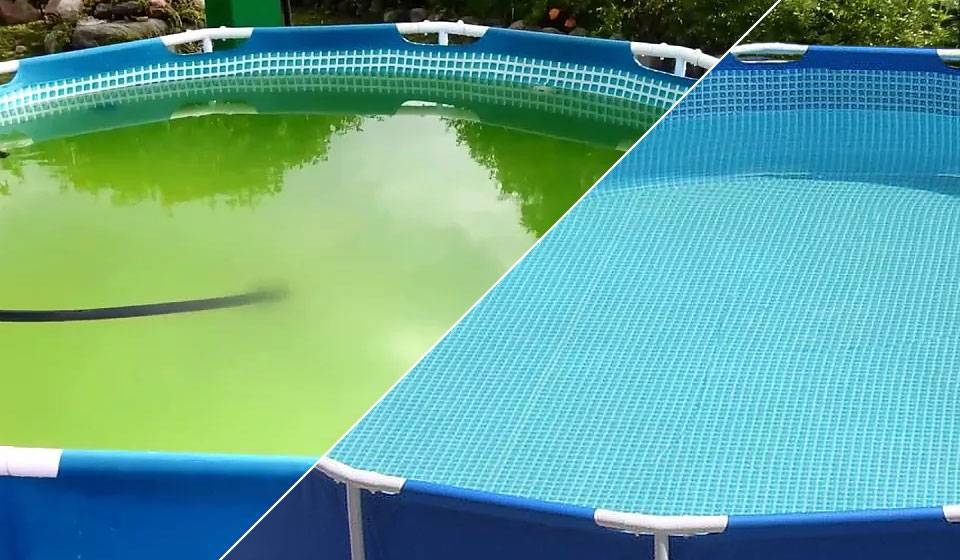 Что делать если в бассейне зеленеет вода