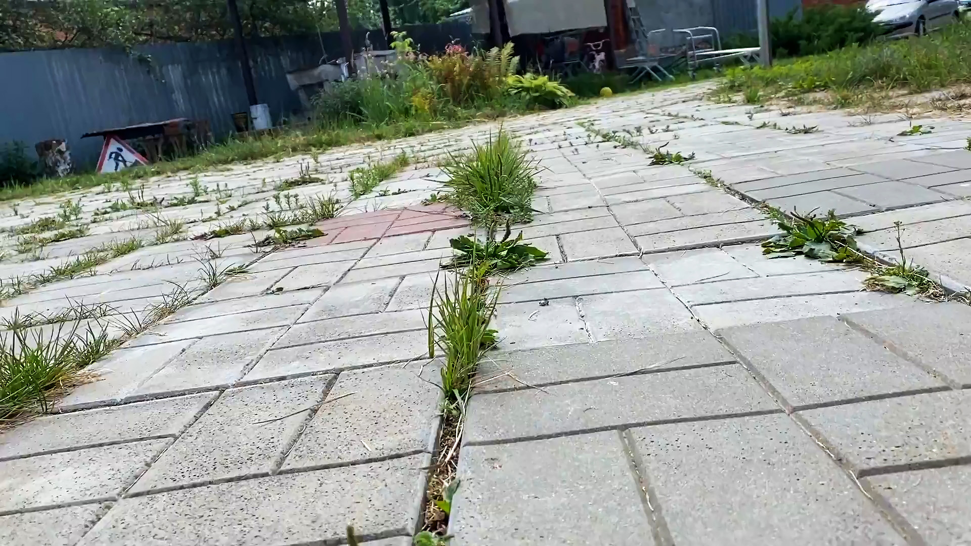 Защита тротуарной плитки от сорняков: эффективные способы удаления травы