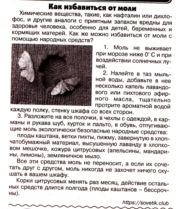 Как избавиться от моли в доме? лучшие методы борьбы- инструкция +фото и видео