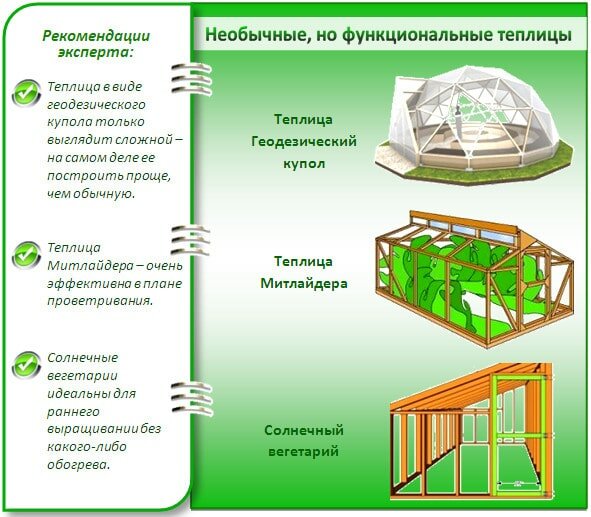 Чем отличается парник от теплицы? что лучше?