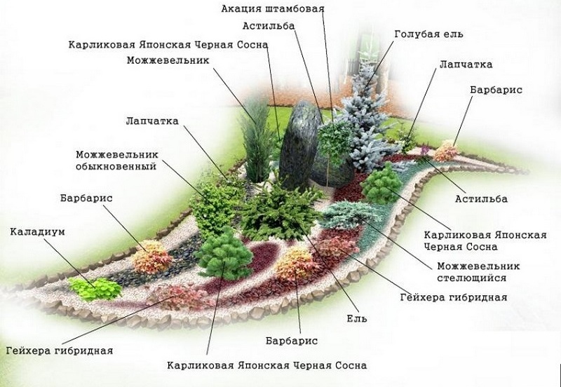 Альпинарий, как сделать своими руками. пошаговое фото