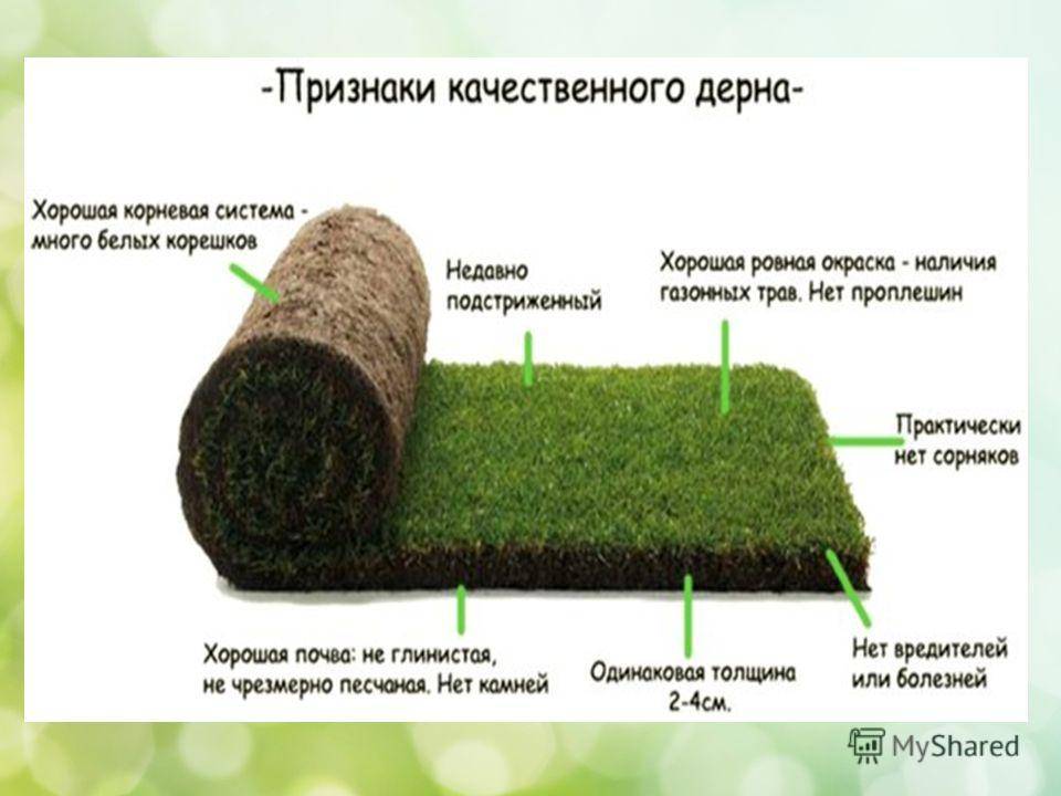 Качественный уход за газоном невозможен без скарификатора