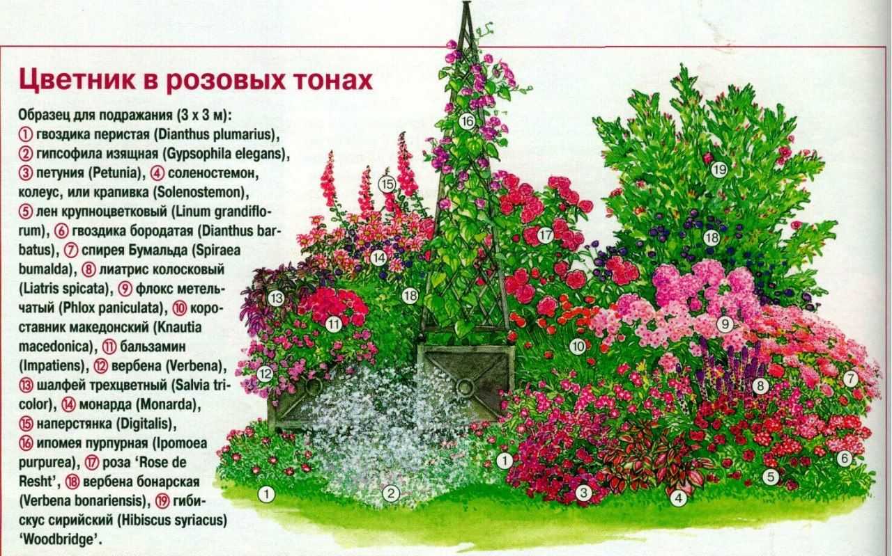 Красивые клумбы – варианты оформления, правила организации, выбор места, советы новичкам +  99 фото