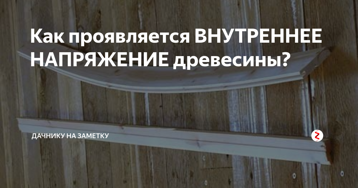 Сушка древесины: как высушить дерево на открытом воздухе, чтобы не трескалась и не повело
