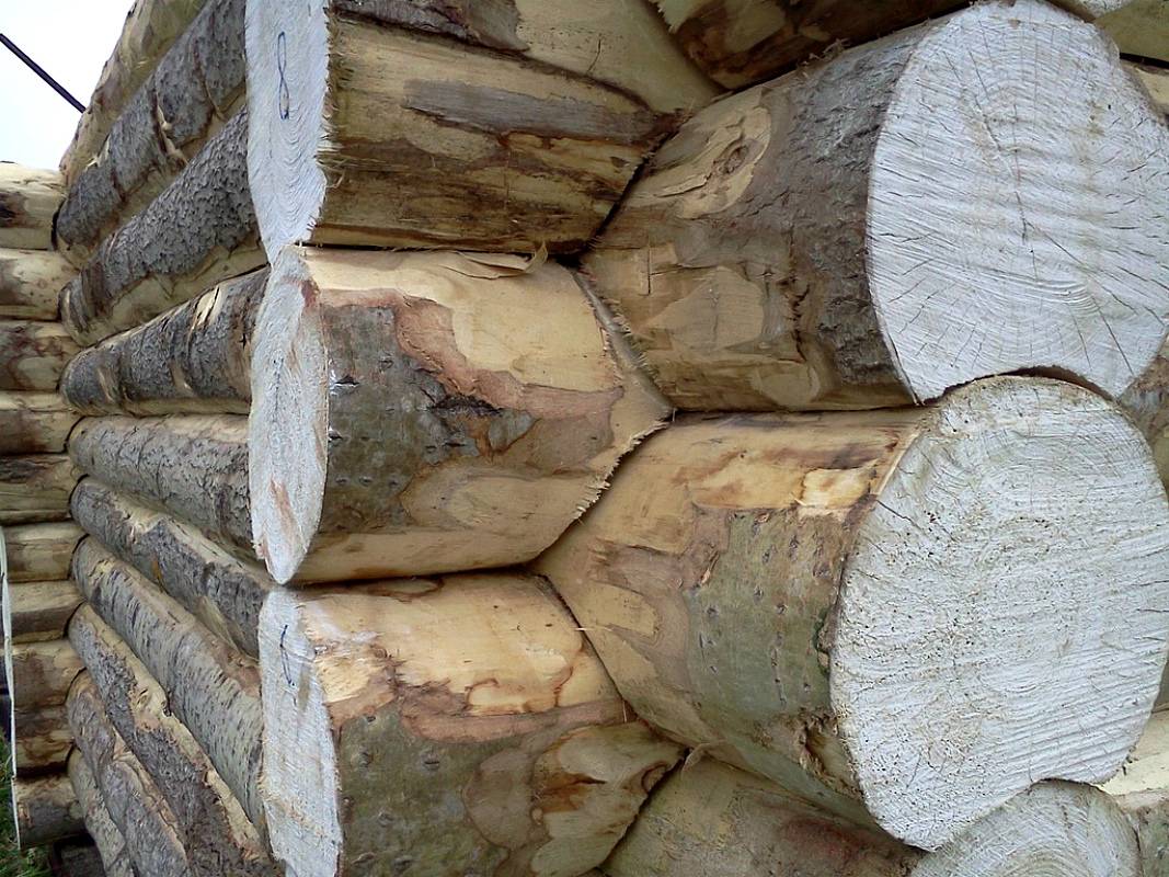 Дерево для бани: как выбрать качественный материал