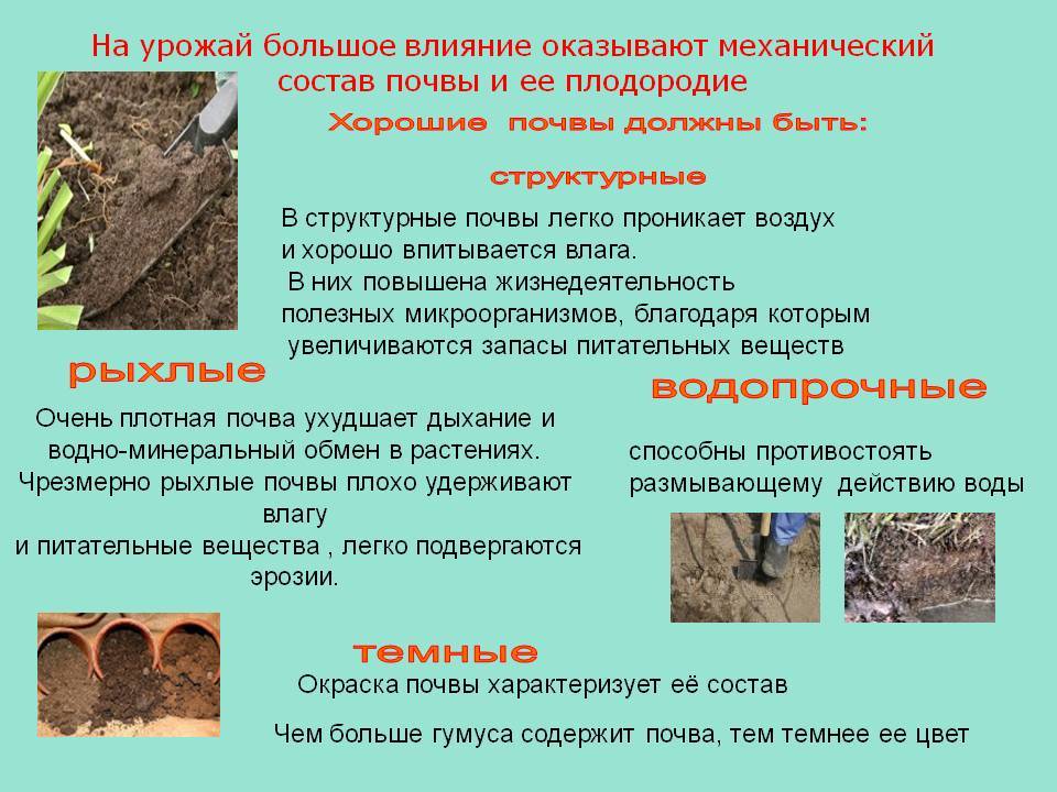 Анализ почвы на плодородие: эффективные методы и практическое применение