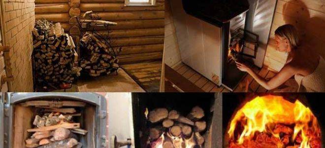 Какие дрова лучше использовать для банной печи — практические советы