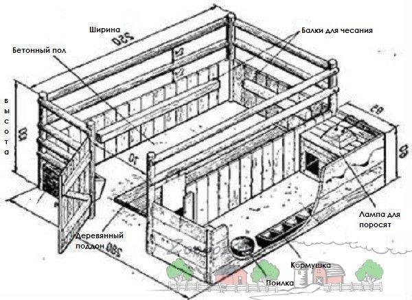 Каркасный свинарник на 2 головы своими руками - постройка, вентиляция, полы, фото (план + проект)