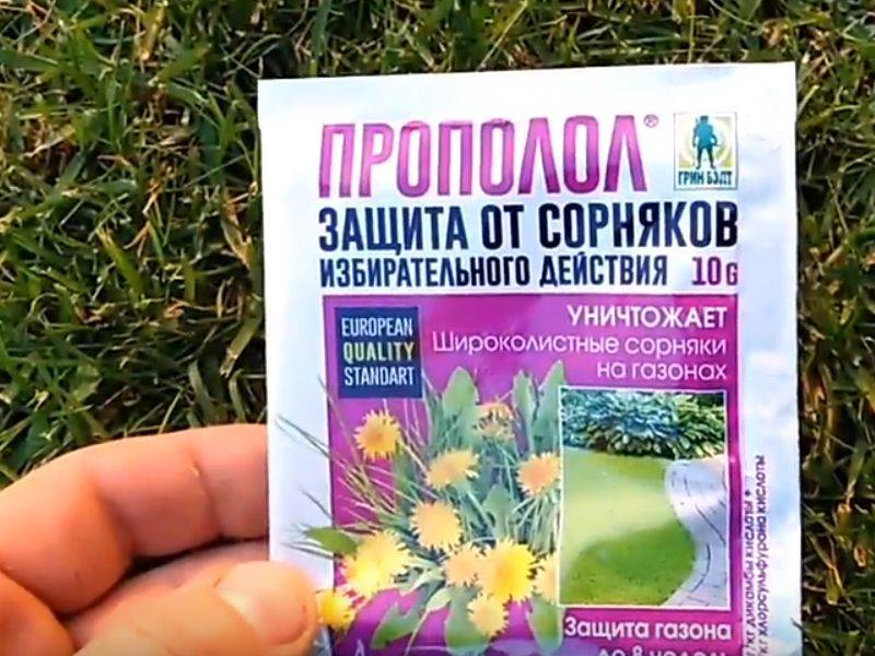 Как избавиться от сорняков на даче навсегда? очистить участок от травы - просто!