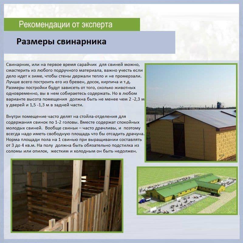 Сарай для свиней своими руками: как сделать и построить
