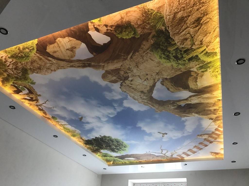 Натяжные потолки с фотопечатью: печать, рисунки, потолки с принтом, цветы на двухуровневом потолке