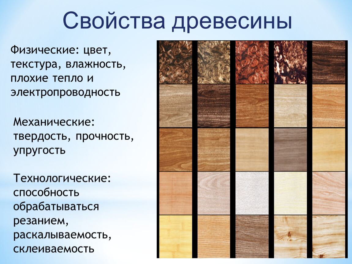 ????лучшие масла для нанесения на древесину на 2024 год
