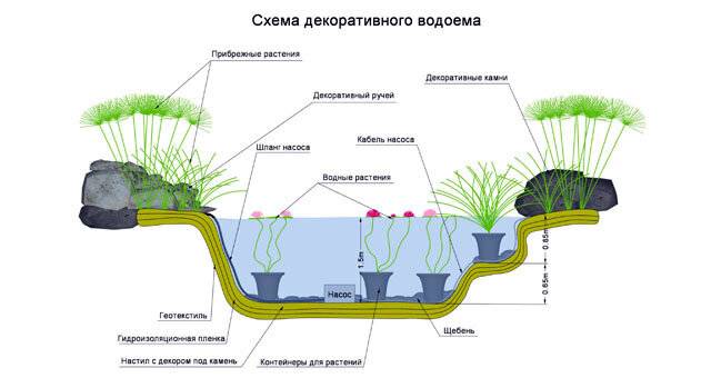Как установить и оформить пластиковый пруд в саду. выбор чаши, декор и озеленение, личный опыт. фото — ботаничка