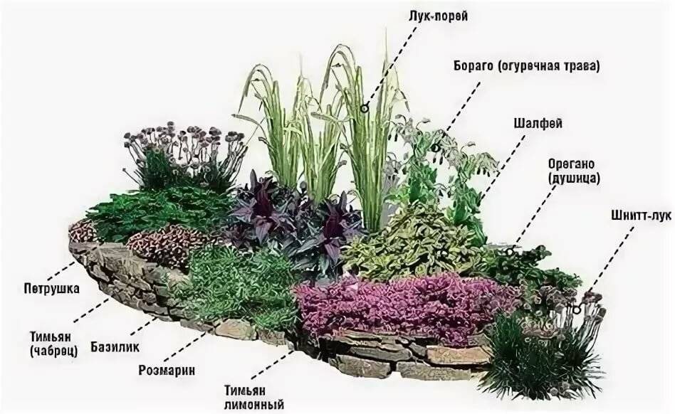 Как сделать альпийскую горку на даче своими руками? | устройство и пошаговые советы (60+фото & видео)