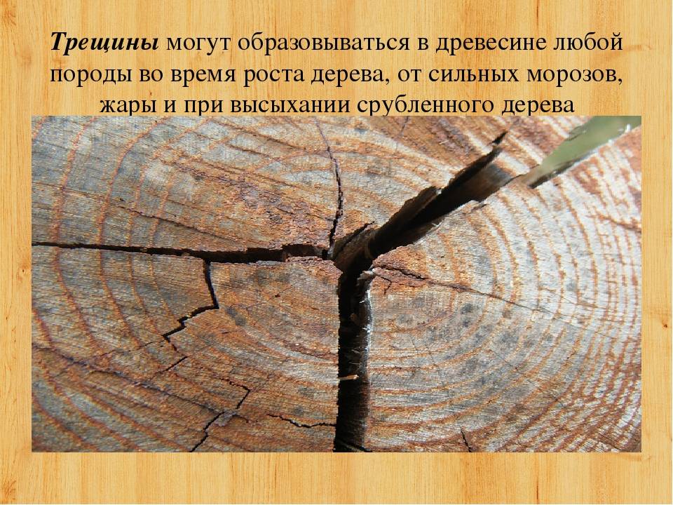 Как исправить деформированную древесину: самые простые способы | ml.by