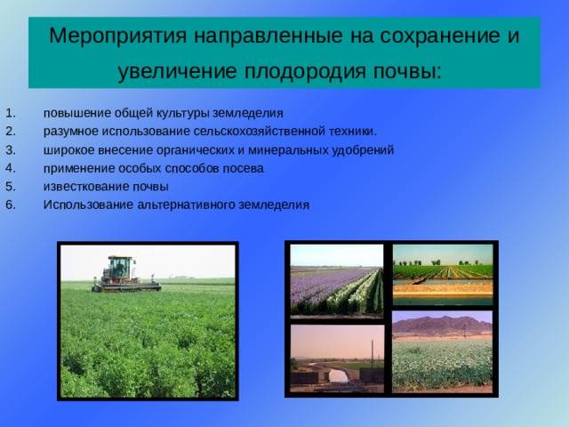 Проведение агрохимического анализа почвы – особенности, методика