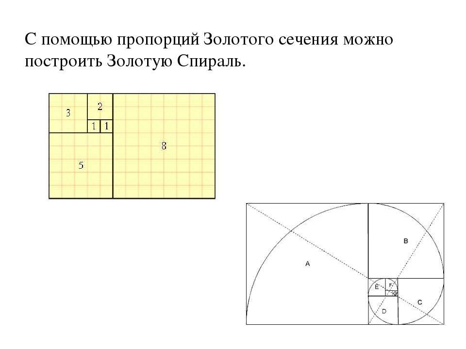 Золотое сечение в дизайне и жизни