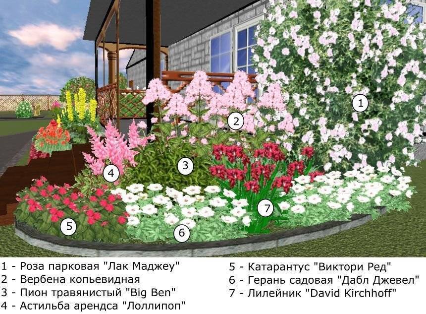 Розарий на даче своими руками: пошаговые схемы посадки для начинающих (150 фото)